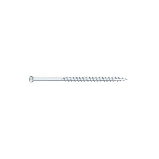 Finish Screws Trim Head Stainless Steel